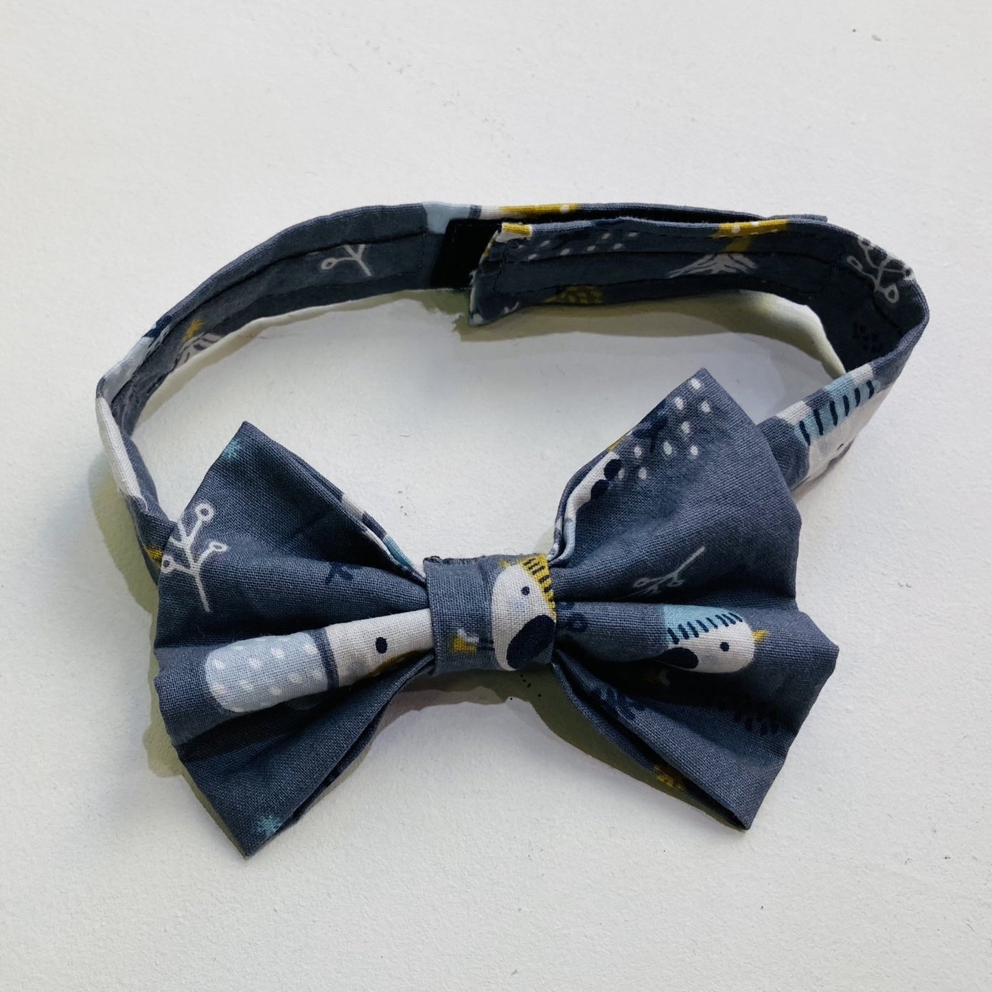 noeud papillon pour enfant roitelet